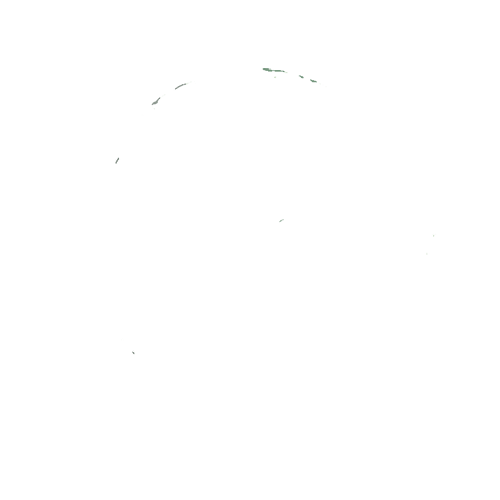 Bodega Bisztr s Barbecue